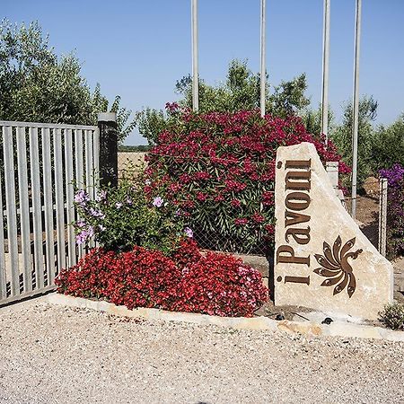 Agrimare I Pavoni Διαμέρισμα Montalto di Castro Εξωτερικό φωτογραφία